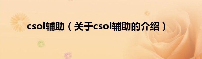 csol辅助（关于csol辅助的介绍）