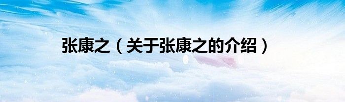 张康之（关于张康之的介绍）