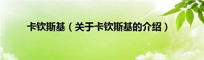 卡钦斯基（关于卡钦斯基的介绍）