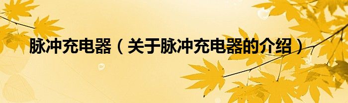 脉冲充电器（关于脉冲充电器的介绍）