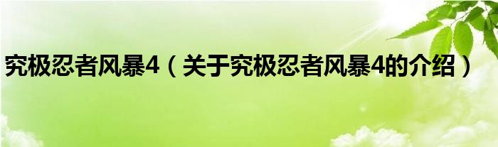 究极忍者风暴4（关于究极忍者风暴4的介绍）
