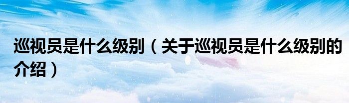 巡视员是什么级别（关于巡视员是什么级别的介绍）
