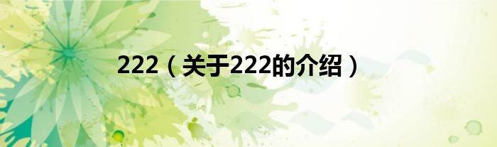 222（关于222的介绍）