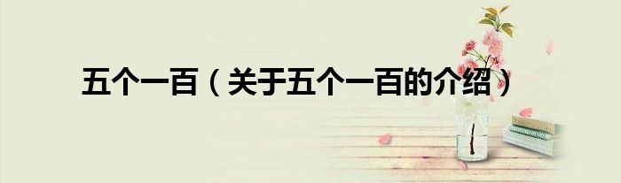 五个一百（关于五个一百的介绍）