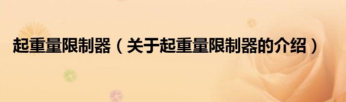 起重量限制器（关于起重量限制器的介绍）
