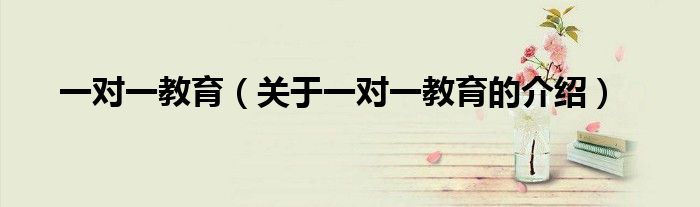 一对一教育（关于一对一教育的介绍）