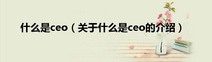 什么是ceo（关于什么是ceo的介绍）