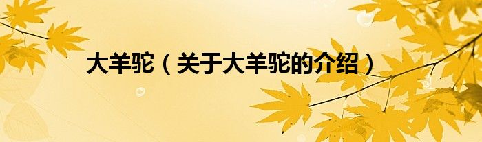 大羊驼（关于大羊驼的介绍）