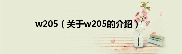 w205（关于w205的介绍）