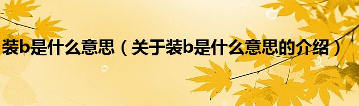 装b是什么意思（关于装b是什么意思的介绍）