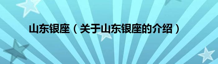 山东银座（关于山东银座的介绍）