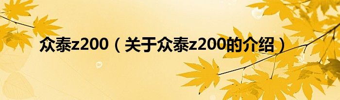 众泰z200（关于众泰z200的介绍）