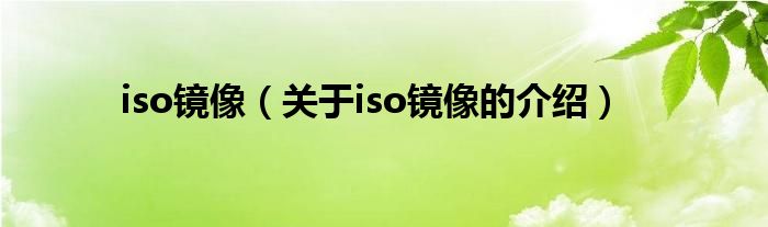 iso镜像（关于iso镜像的介绍）