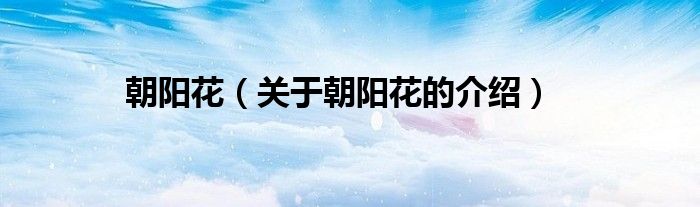 朝阳花（关于朝阳花的介绍）