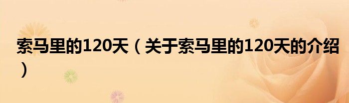索马里的120天（关于索马里的120天的介绍）