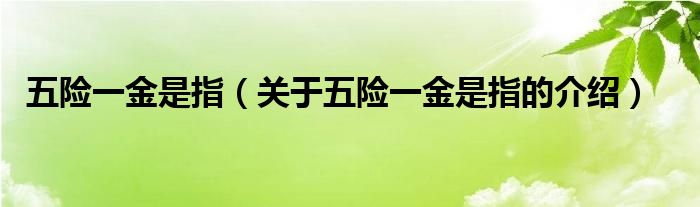 五险一金是指（关于五险一金是指的介绍）