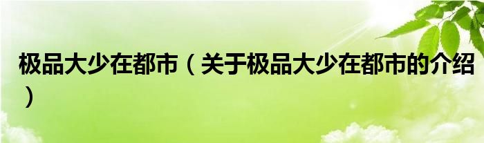 极品大少在都市（关于极品大少在都市的介绍）