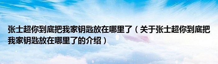 张士超你到底把我家钥匙放在哪里了（关于张士超你到底把我家钥匙放在哪里了的介绍）