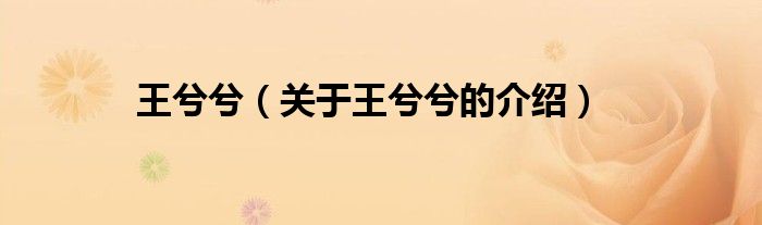 王兮兮（关于王兮兮的介绍）