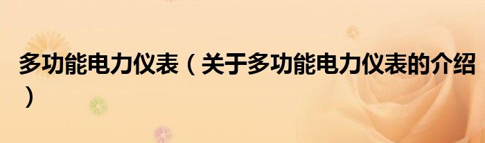 多功能电力仪表（关于多功能电力仪表的介绍）