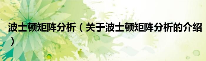 波士顿矩阵分析（关于波士顿矩阵分析的介绍）