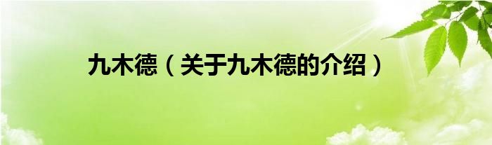 九木德（关于九木德的介绍）