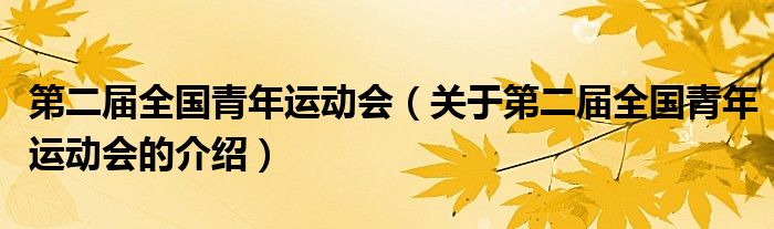 第二届全国青年运动会（关于第二届全国青年运动会的介绍）
