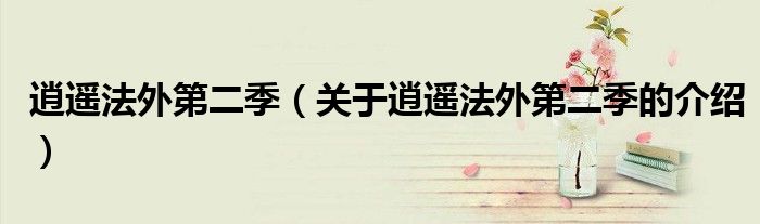 逍遥法外第二季（关于逍遥法外第二季的介绍）