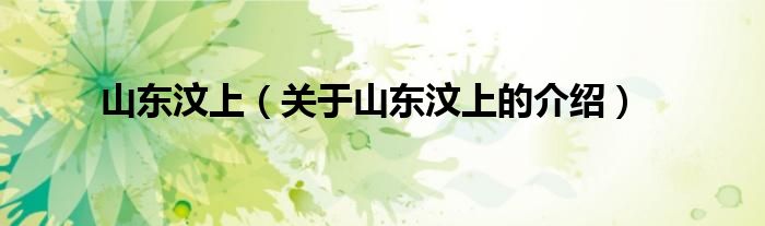 山东汶上（关于山东汶上的介绍）
