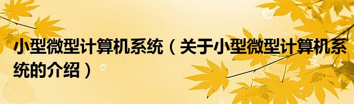 小型微型计算机系统（关于小型微型计算机系统的介绍）