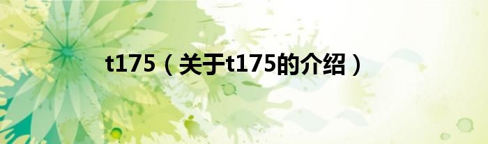 t175（关于t175的介绍）