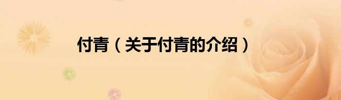 付青（关于付青的介绍）