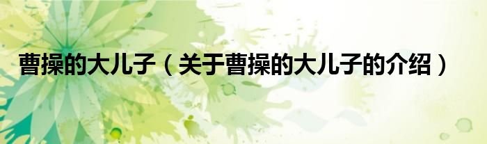 曹操的大儿子（关于曹操的大儿子的介绍）