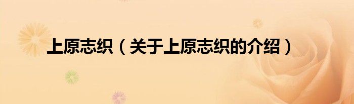 上原志织（关于上原志织的介绍）