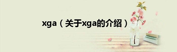 xga（关于xga的介绍）