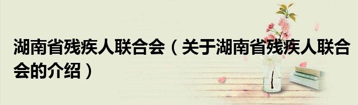 湖南省残疾人联合会（关于湖南省残疾人联合会的介绍）