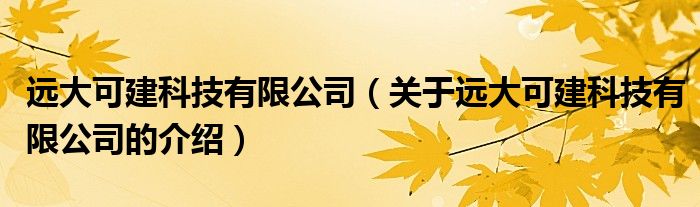 远大可建科技有限公司（关于远大可建科技有限公司的介绍）