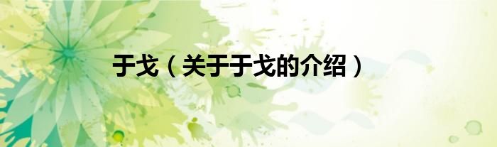 于戈（关于于戈的介绍）
