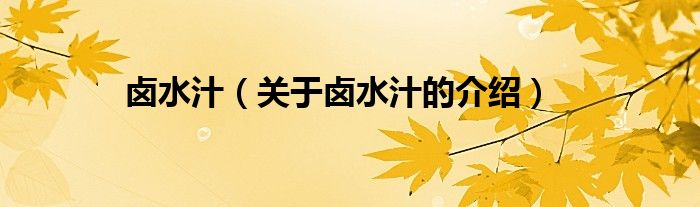 卤水汁（关于卤水汁的介绍）