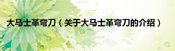 大马士革弯刀（关于大马士革弯刀的介绍）