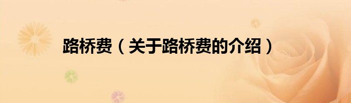 路桥费（关于路桥费的介绍）
