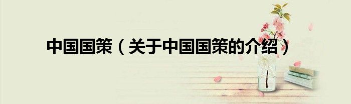 中国国策（关于中国国策的介绍）