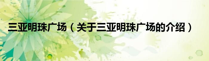 三亚明珠广场（关于三亚明珠广场的介绍）