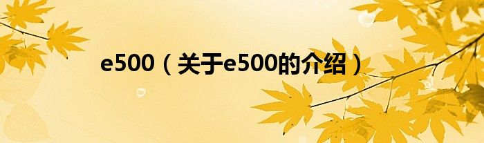 e500（关于e500的介绍）
