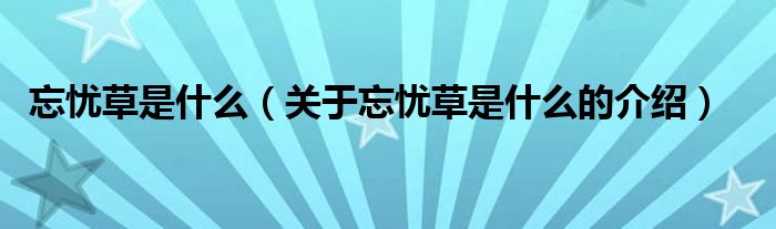 忘忧草是什么（关于忘忧草是什么的介绍）
