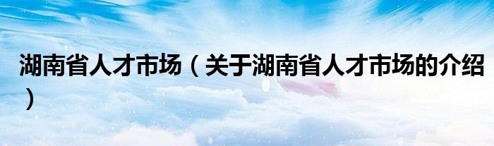 湖南省人才市场（关于湖南省人才市场的介绍）