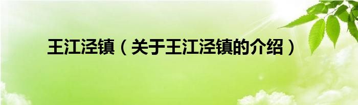 王江泾镇（关于王江泾镇的介绍）