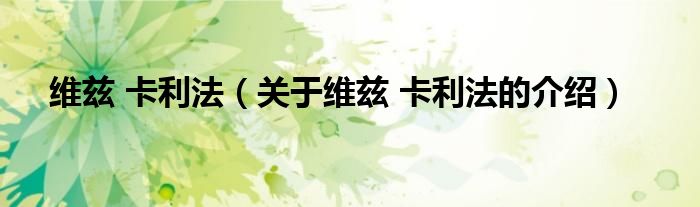维兹 卡利法（关于维兹 卡利法的介绍）