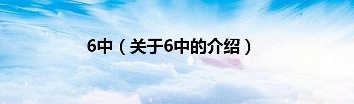 6中（关于6中的介绍）