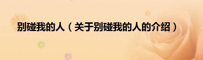 别碰我的人（关于别碰我的人的介绍）